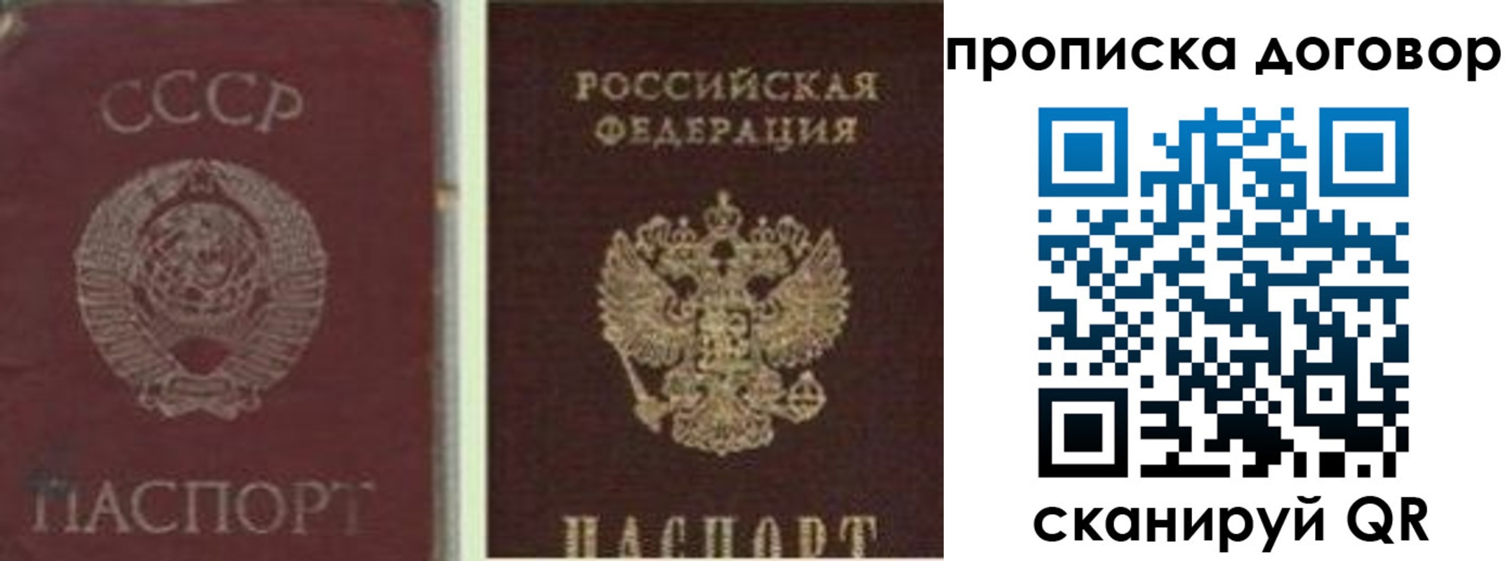 прописка гарантия в Мензелинске